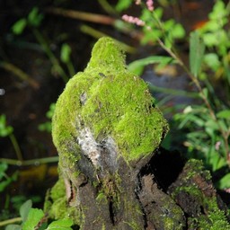市川市・動植物園