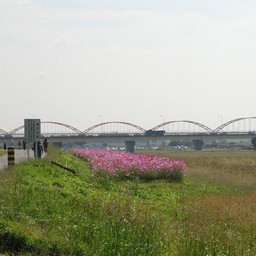 鴻巣市・吹上