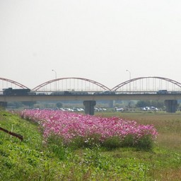 鴻巣市・吹上