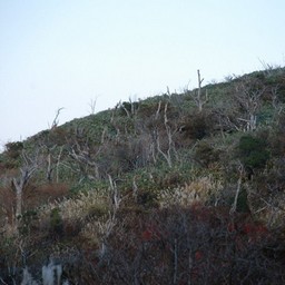 神奈川県・箱根・大涌谷