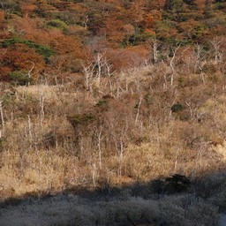 神奈川県・箱根・大涌谷