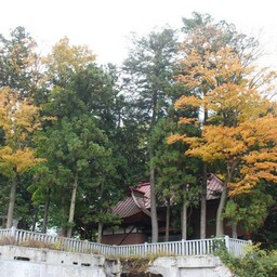 山梨県・河口湖