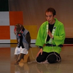 山梨県・河口湖・猿回し劇場