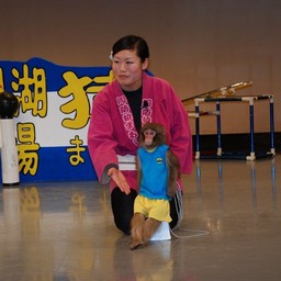 山梨県・河口湖・猿回し劇場
