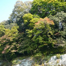 埼玉県・長瀞・荒川