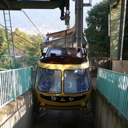 埼玉県・長瀞・宝登山