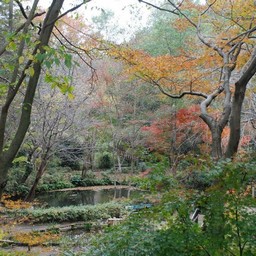 市川市・動植物園