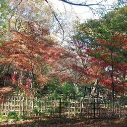 川口市・興禅院