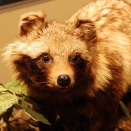 市川市・動植物園