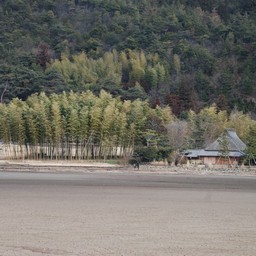 京都市・嵯峨