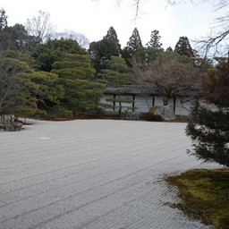 京都市・宇多野・仁和寺