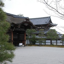 京都市・宇多野・仁和寺