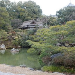 京都市・宇多野・仁和寺
