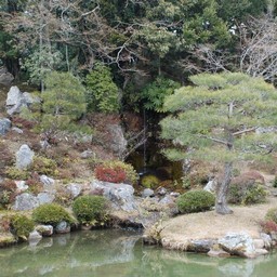 京都市・宇多野・仁和寺