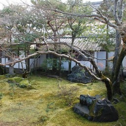 京都市・宇多野・仁和寺