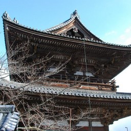 京都市・宇多野・仁和寺