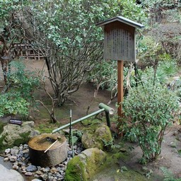 京都市・宇多野・龍安寺
