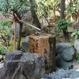 京都市・旅館