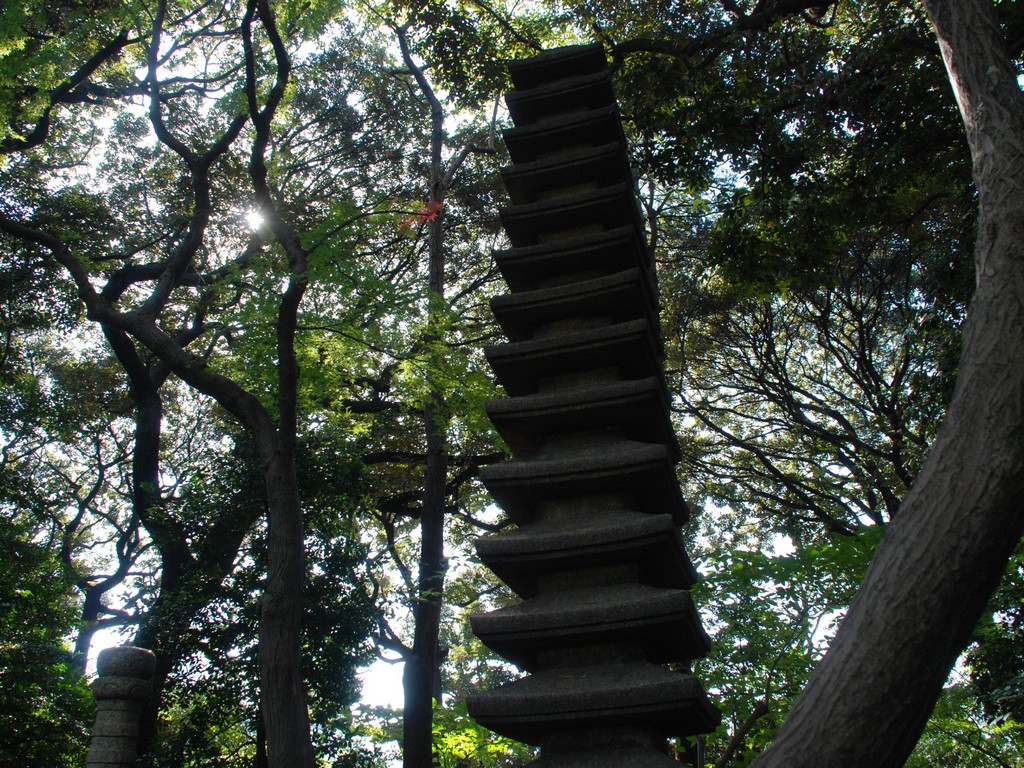 skEÉ͒뉀 - ii{j - ʐ^f - ݃{