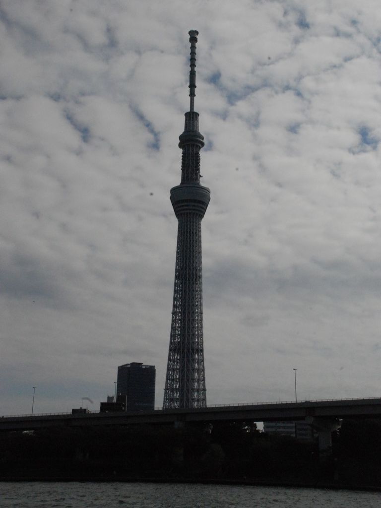 s䓌EXJCc[ - ii{j - ʐ^f - ݃{