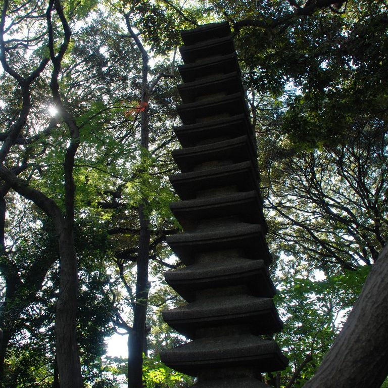 skEÉ͒뉀 - ii{j - ʐ^f - ݃{