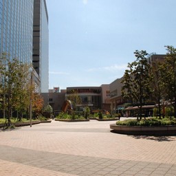 東京都・木場