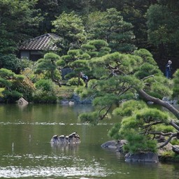 東京都・清澄庭園