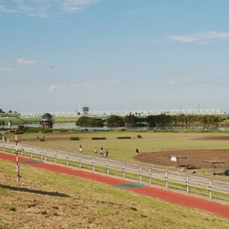 東京都・柴又・矢切りの渡し