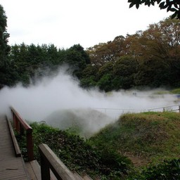 東京都・昭和記念公園