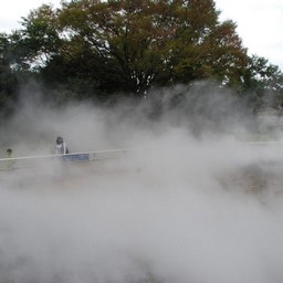 東京都・昭和記念公園