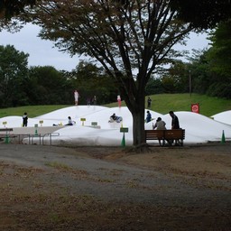 東京都・昭和記念公園