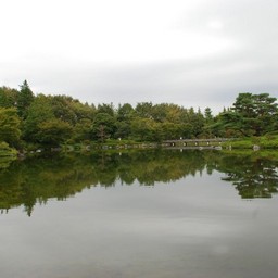 東京都・昭和記念公園
