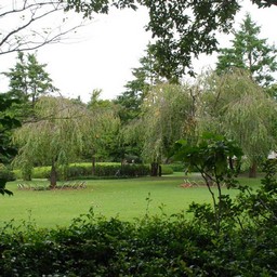 東京都・昭和記念公園