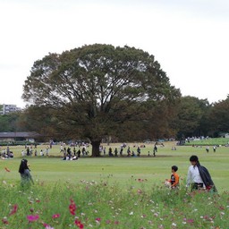 東京都・昭和記念公園