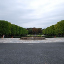 東京都・昭和記念公園