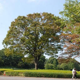 東京都・皇居