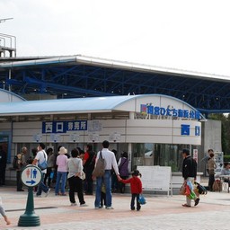 茨城県・ひたち海浜公園