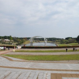 茨城県・ひたち海浜公園