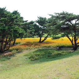 茨城県・ひたち海浜公園