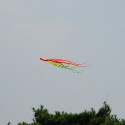 茨城県・ひたち海浜公園