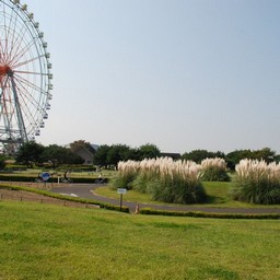 茨城県・ひたち海浜公園