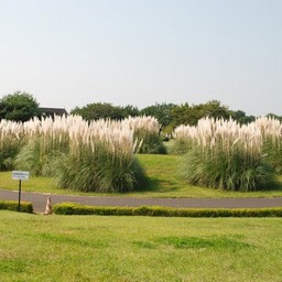 茨城県・ひたち海浜公園