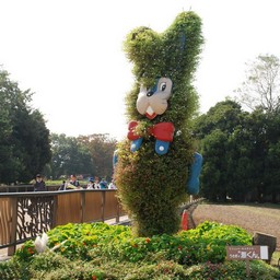 茨城県・ひたち海浜公園