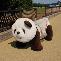 茨城県・ひたち海浜公園