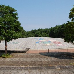 茨城県・ひたち海浜公園