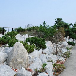 茨城県・ひたち海浜公園