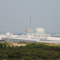 茨城県・ひたち海浜公園