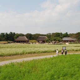 茨城県・ひたち海浜公園
