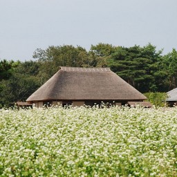 茨城県・ひたち海浜公園