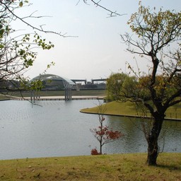 茨城県・ひたち海浜公園